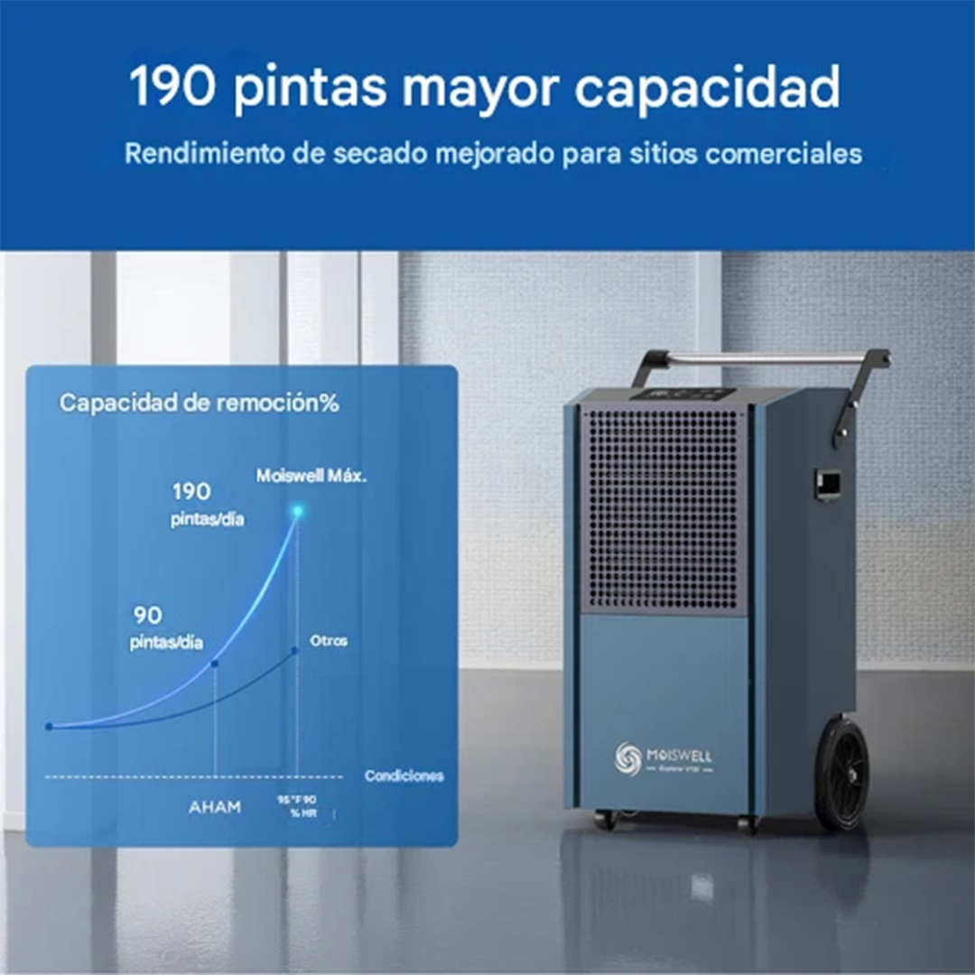 Moiswell-190-pintas-1