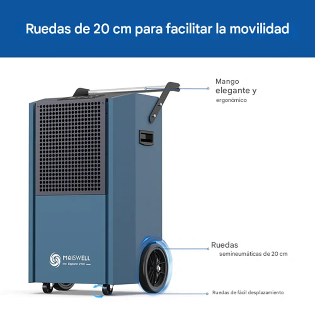 Moiswell-190-pintas-4